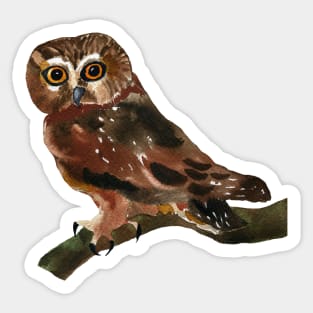 Owl Sticker